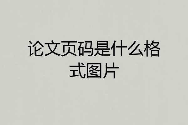 论文页码是什么格式图片