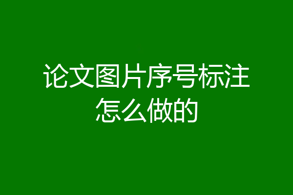 论文图片序号标注怎么做的