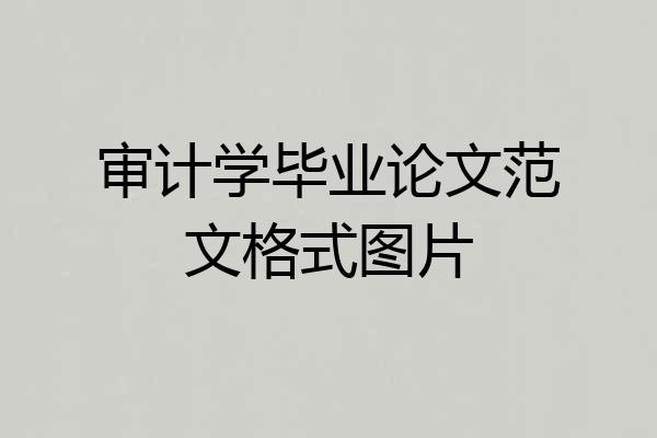 审计学毕业论文范文格式图片