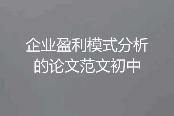 企业盈利模式分析的论文范文初中
