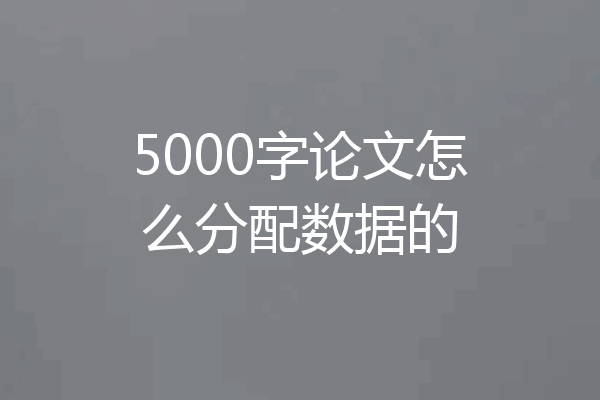 5000字论文怎么分配数据的