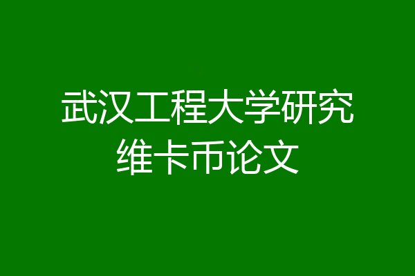 武汉工程大学研究维卡币论文