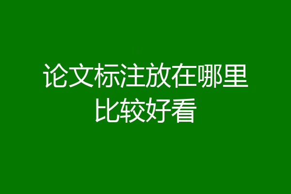 论文标注放在哪里比较好看
