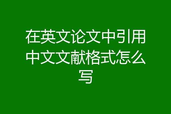 在英文论文中引用中文文献格式怎么写