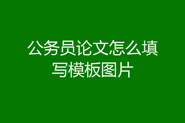 公务员论文怎么填写模板图片