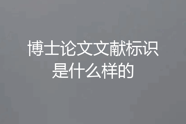 博士论文文献标识是什么样的