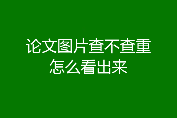 论文图片查不查重怎么看出来