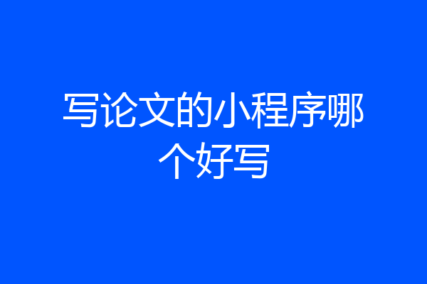 写论文的小程序哪个好写