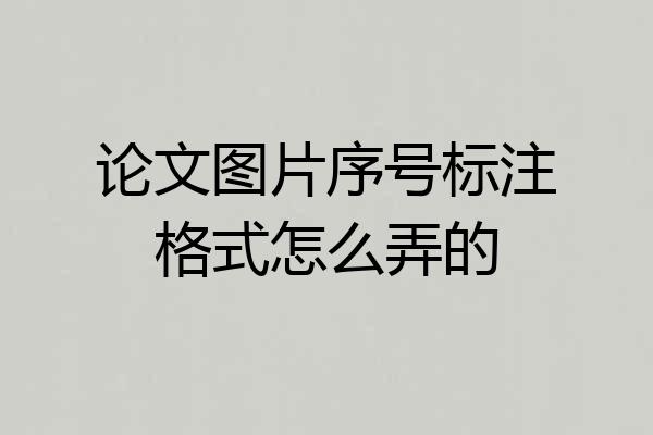 论文图片序号标注格式怎么弄的