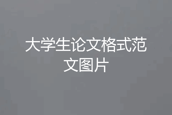 大学生论文格式范文图片