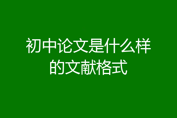 初中论文是什么样的文献格式