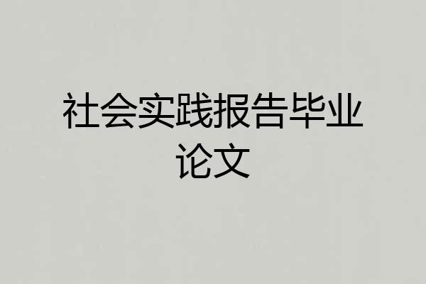 社会实践报告毕业论文