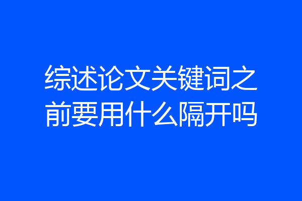 综述论文关键词之前要用什么隔开吗