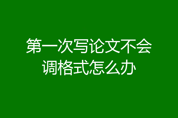 第一次写论文不会调格式怎么办