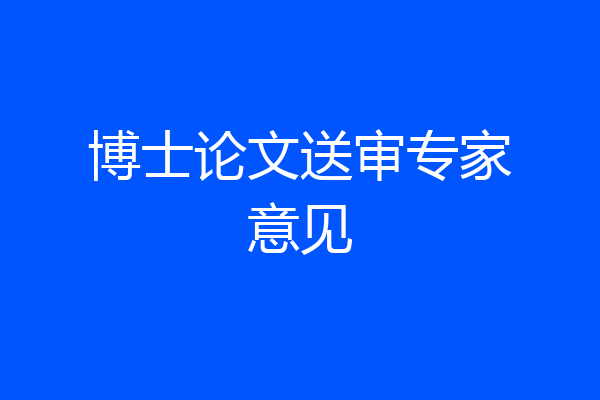 博士论文送审专家意见