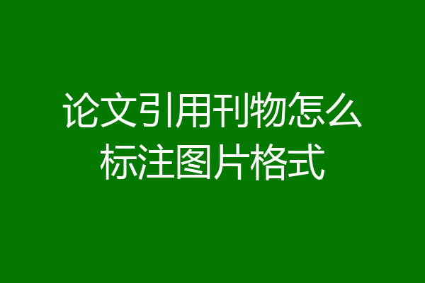 论文引用刊物怎么标注图片格式
