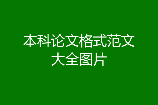 本科论文格式范文大全图片