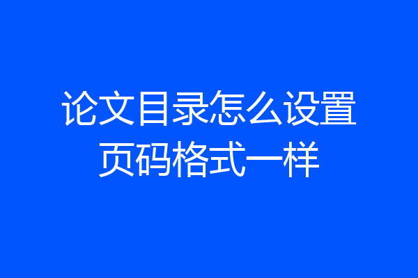 论文目录怎么设置页码格式一样