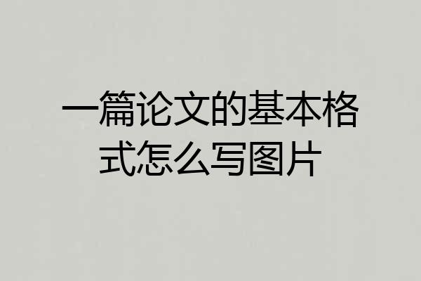 一篇论文的基本格式怎么写图片