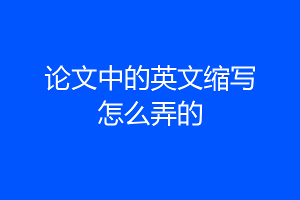 论文中的英文缩写怎么弄的