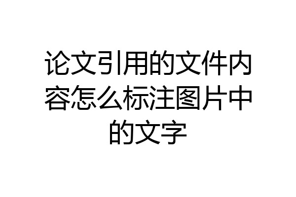论文引用的文件内容怎么标注图片中的文字