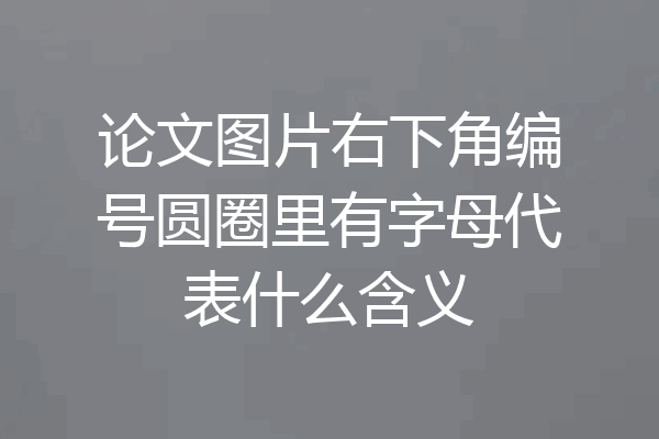 论文图片右下角编号圆圈里有字母代表什么含义