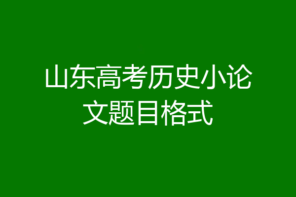 山东高考历史小论文题目格式