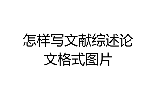 怎样写文献综述论文格式图片