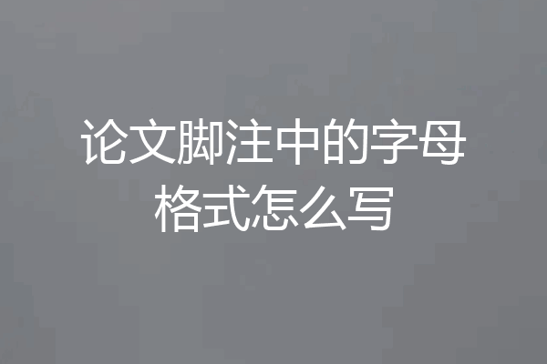 论文脚注中的字母格式怎么写