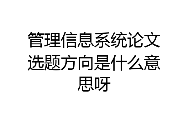 管理信息系统论文选题方向是什么意思呀