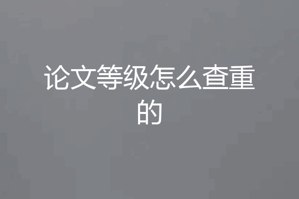 论文等级怎么查重的
