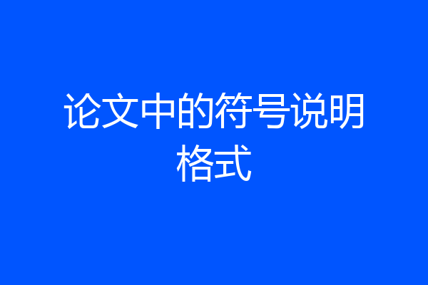 论文中的符号说明格式