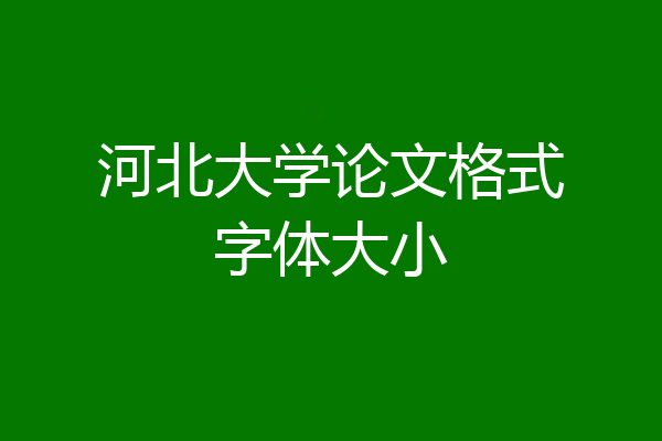 河北大学论文格式字体大小