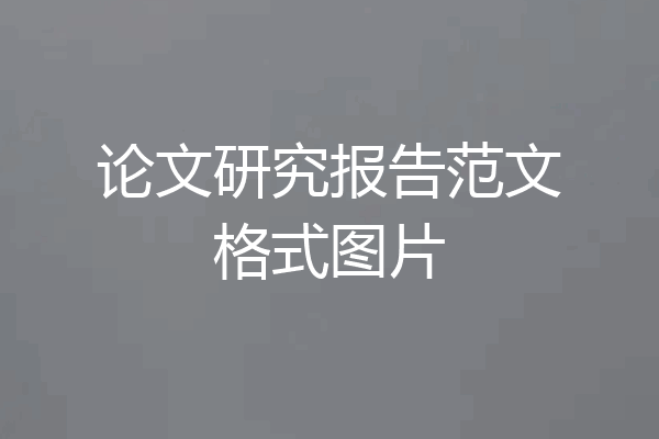 论文研究报告范文格式图片