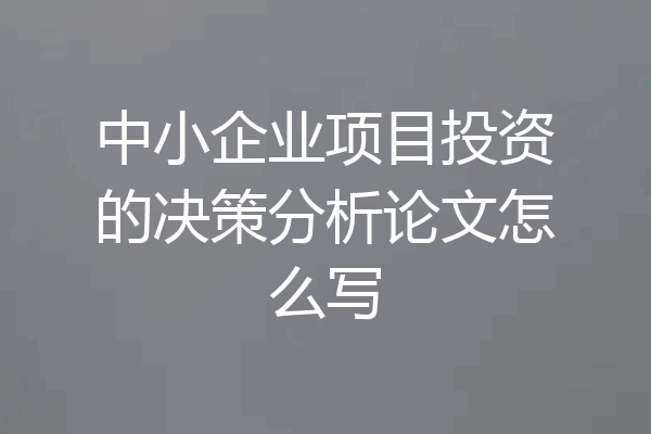中小企业项目投资的决策分析论文怎么写