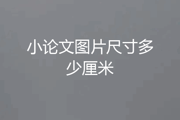 小论文图片尺寸多少厘米