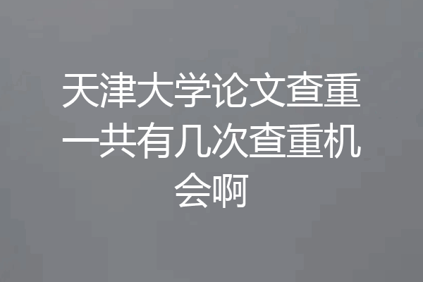 天津大学论文查重一共有几次查重机会啊