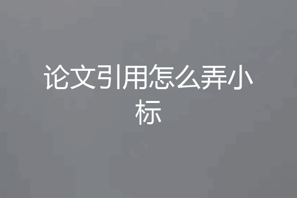 论文引用怎么弄小标