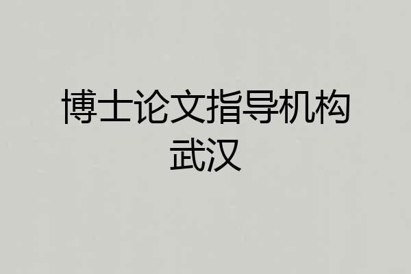 博士论文指导机构武汉