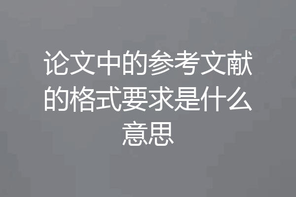 论文中的参考文献的格式要求是什么意思