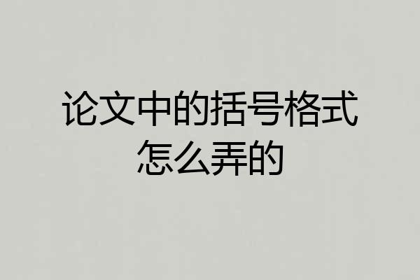 论文中的括号格式怎么弄的