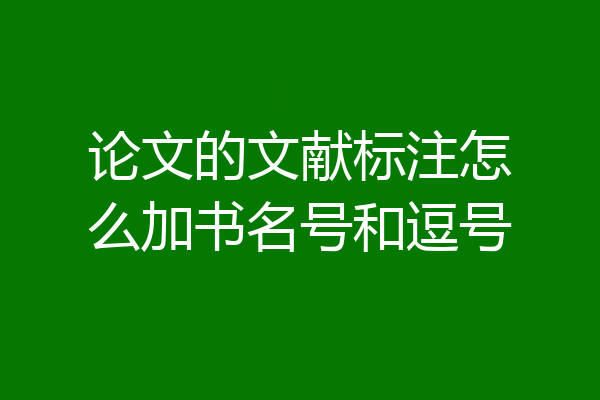 论文的文献标注怎么加书名号和逗号