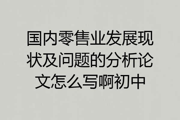 国内零售业发展现状及问题的分析论文怎么写啊初中