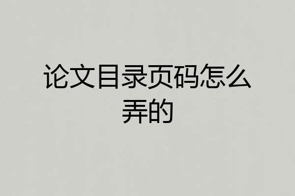 论文目录页码怎么弄的
