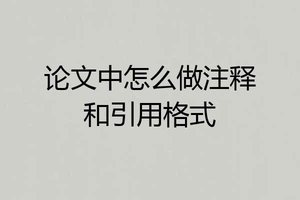 论文中怎么做注释和引用格式