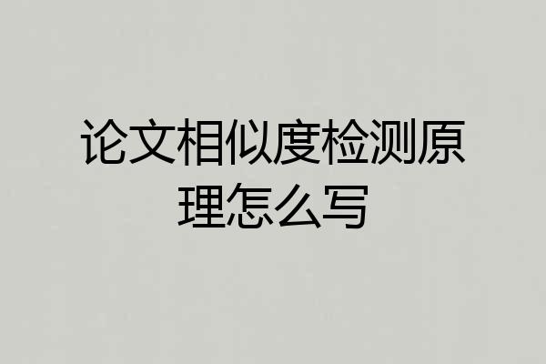 论文相似度检测原理怎么写