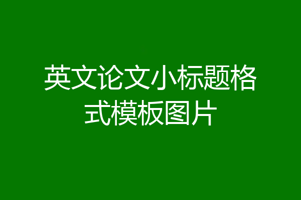 英文论文小标题格式模板图片