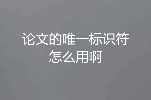 论文的唯一标识符怎么用啊