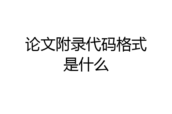 论文附录代码格式是什么