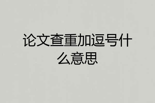 论文查重加逗号什么意思